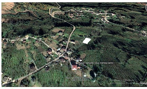 FATSA YUKARI BAHÇELER KÖYÜ DÜZLÜK 828 M2 FINDIK BAHÇESİ